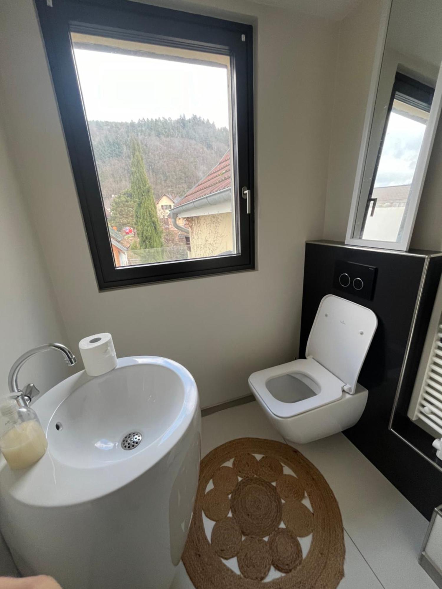 Gite Proche De Colmar Et Kaysersberg Pour 10 Personnes Lapoutroie Extérieur photo